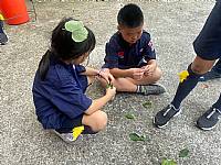 童軍團露營活動